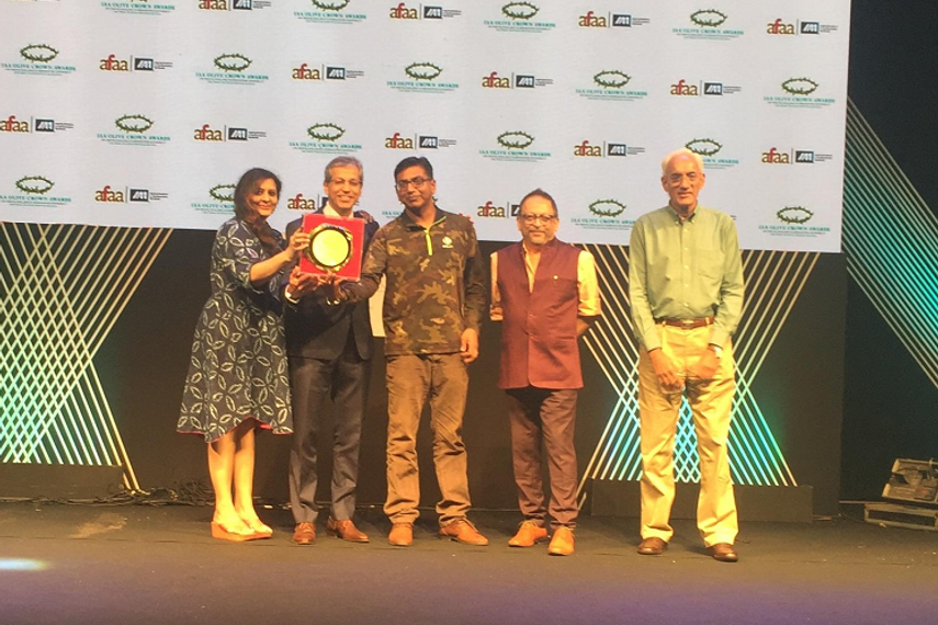 Olive Crowns 2017: JWT bags four Golds; Dentsu One, RK Swamy and Scarecrow bag two each