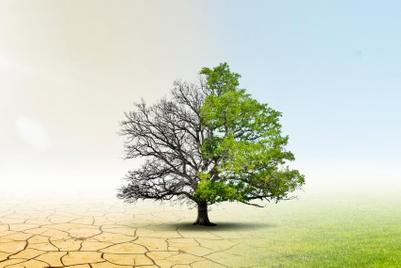 Reductive COP26 comms did nothing to convey urgency or transformation needed