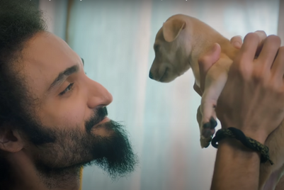 Pedigree and Zee5 raise awareness on indie pet adoptions
