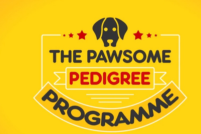 Cannes Contenders 2017: Hungama Digital Services