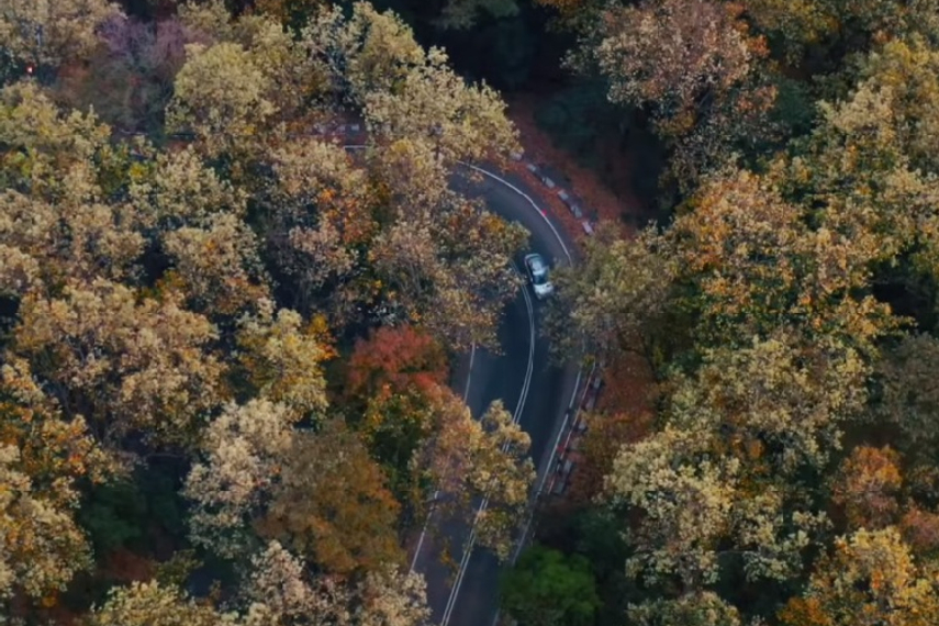 Watch the film conceptualised by Autumn Grey here