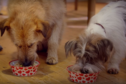 From a lovestruck postman to tales of jealousy: how brands shared the love for Valentine's Day