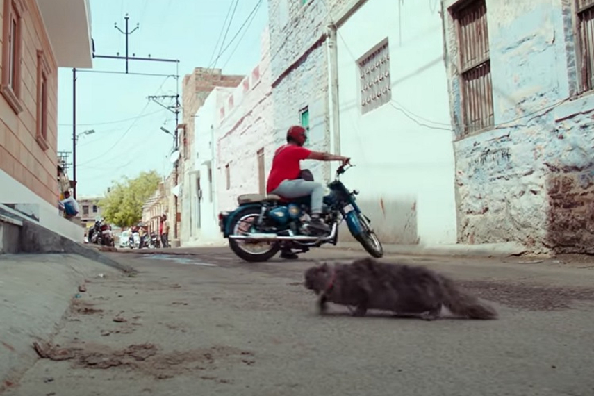 Watch the campaign conceptualised by Tilt Brand Solutions here