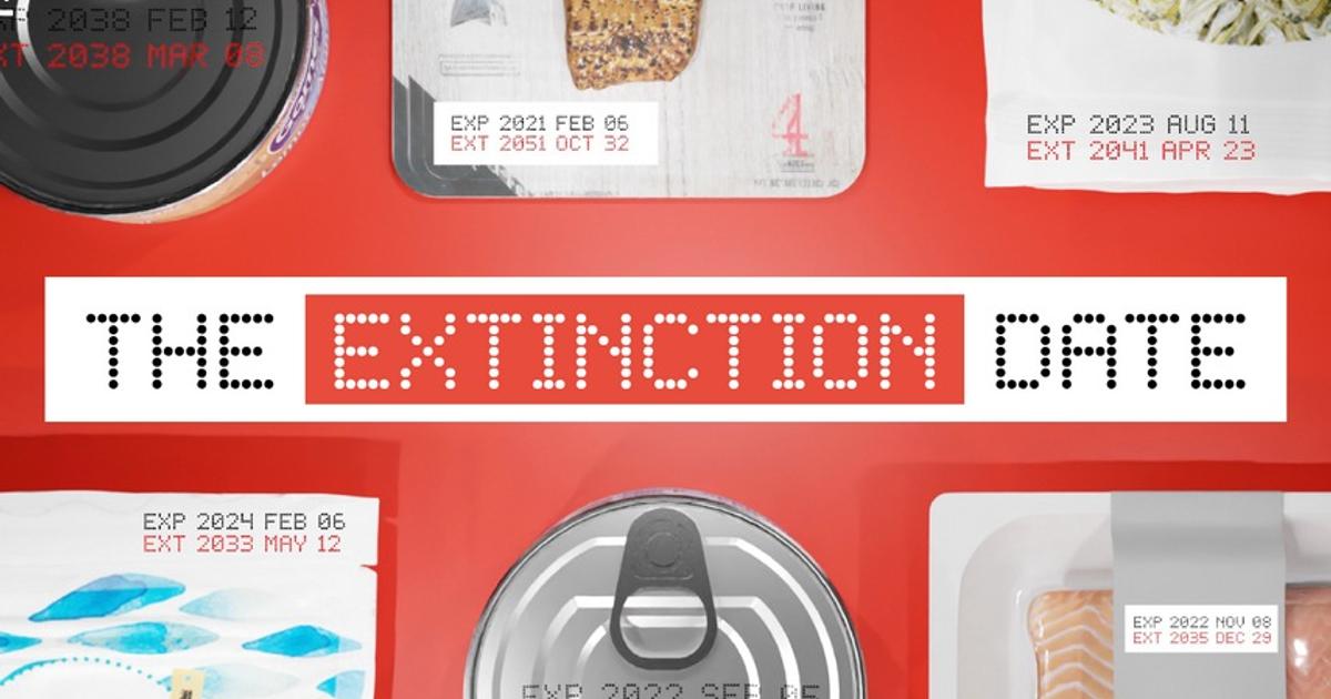 世界マーケティング短信 日本の若き才能 栄冠を勝ち取る ニュース Campaign Japan 日本 世界マーケティング短信 日本の若き才能 栄冠を勝ち取る ニュース Campaign Japan 日本