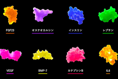 体内の「騒がしさ」を体感できるインスタレーション