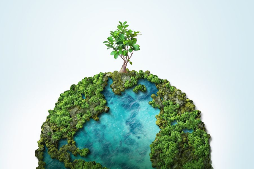 私たちは皆、持続可能性を前進させる責任を負っている