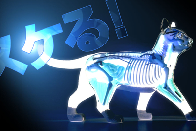 電通、「透かすブランド」を募集