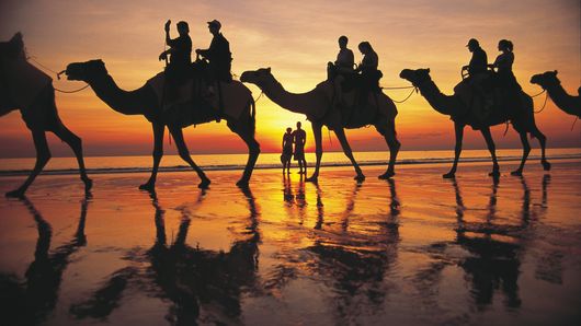 Got the hump with trade finance? Why not try CamelONE Got the hump with trade finance? Why not try CamelONE