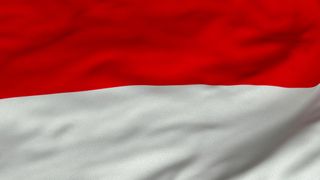 New CFO lands at Indonesian palm oil giant New CFO lands at Indonesian palm oil giant