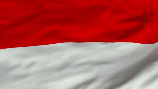 New CFO lands at Indonesian palm oil giant New CFO lands at Indonesian palm oil giant