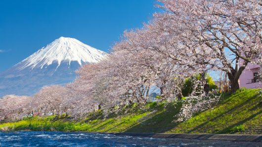 Expectations for fiscal stimulus rise in Japan Expectations for fiscal stimulus rise in Japan