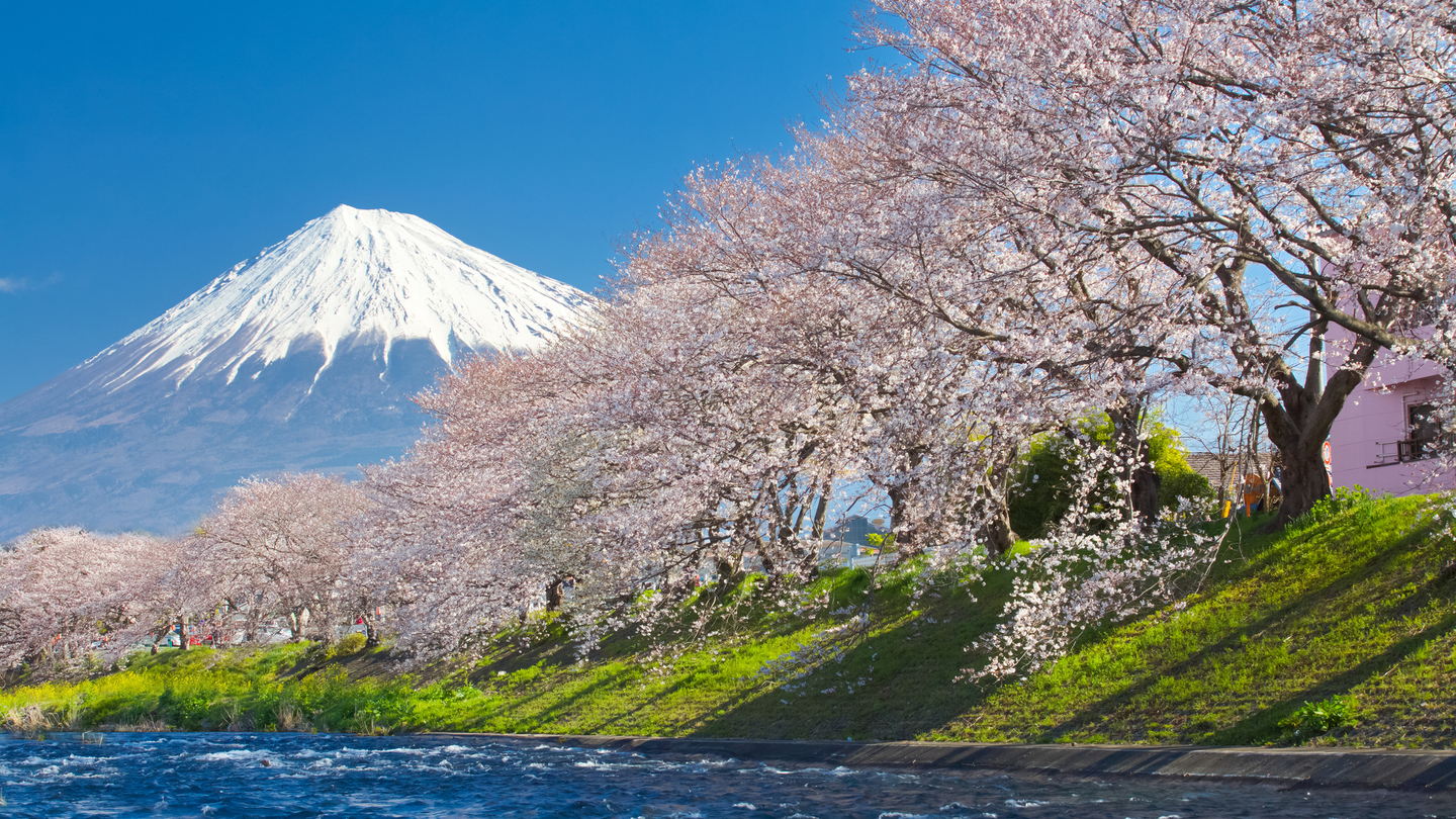 Expectations for fiscal stimulus rise in Japan Expectations for fiscal stimulus rise in Japan