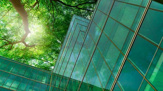 Sustainable finance climbs Asia's treasury agenda Sustainable finance climbs Asia's treasury agenda