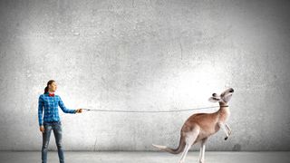 Australia: corporates in spotlight under bribery law update Australia: corporates in spotlight under bribery law update