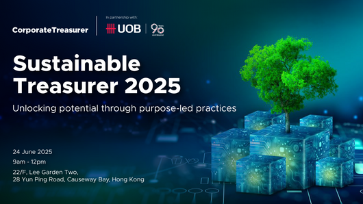 Sustainable Treasurer 2025 Sustainable Treasurer 2025