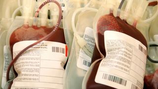 New CFO blood at China Biologic New CFO blood at China Biologic