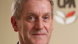 EY’s audit spat ends, grappling over working papers continues EY’s audit spat ends, grappling over working papers continues