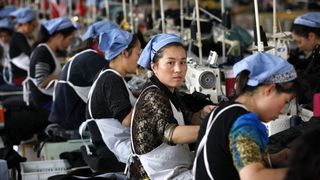 B2B platform Serai partners credit insurer Coface to mitigate counterparty risk B2B platform Serai partners credit insurer Coface to mitigate counterparty risk