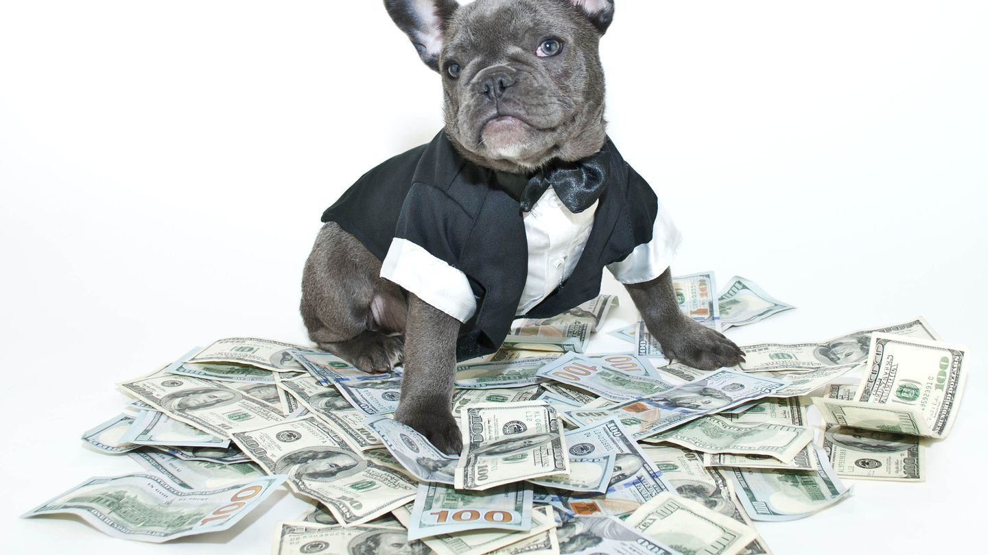 Year of the Dog: what’s in store for corporate treasurers Year of the Dog: what’s in store for corporate treasurers