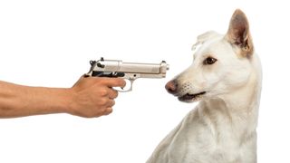 Lose the dongle, or Fido gets it Lose the dongle, or Fido gets it