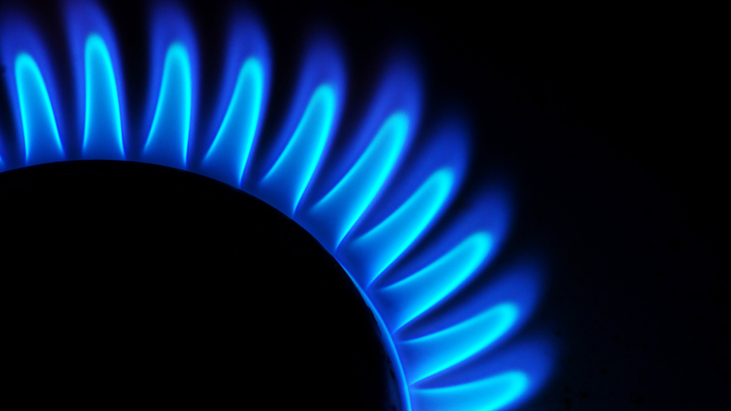 The future of gas, sugar and aluminium The future of gas, sugar and aluminium