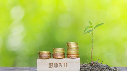 Shades of green: CLP’s energy transition bonds Shades of green: CLP’s energy transition bonds