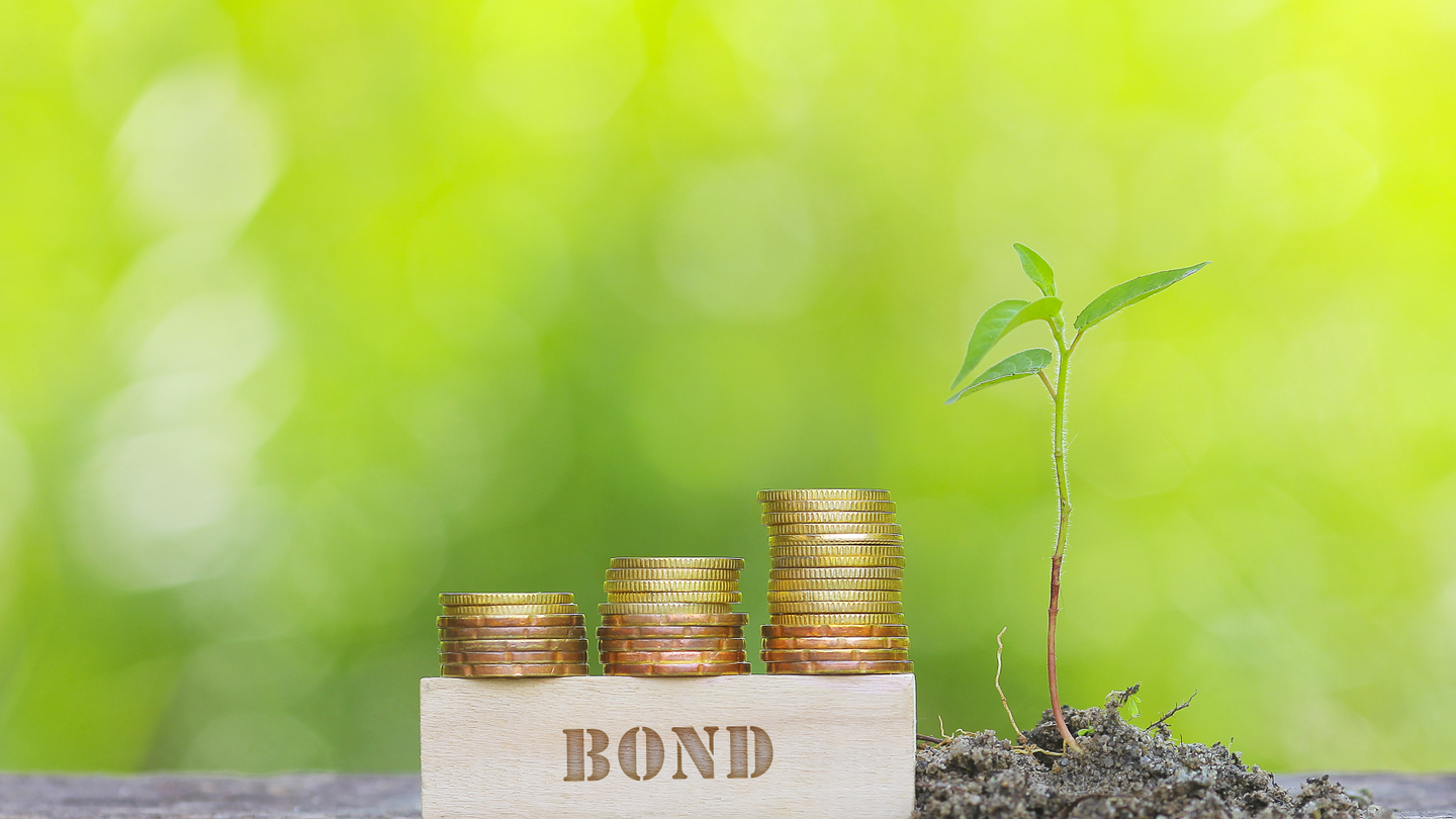 Shades of green: CLP’s energy transition bonds Shades of green: CLP’s energy transition bonds