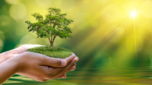 Banking on your ecosystem Banking on your ecosystem