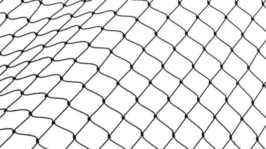 Multicurrency netting: what treasurers need to know Multicurrency netting: what treasurers need to know