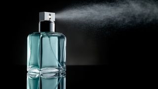 Want to work at Yves Saint Laurent, or CAIA Motors? Want to work at Yves Saint Laurent, or CAIA Motors?