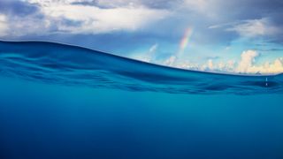 Ripple is making waves, but will it become a tsunami? Ripple is making waves, but will it become a tsunami?