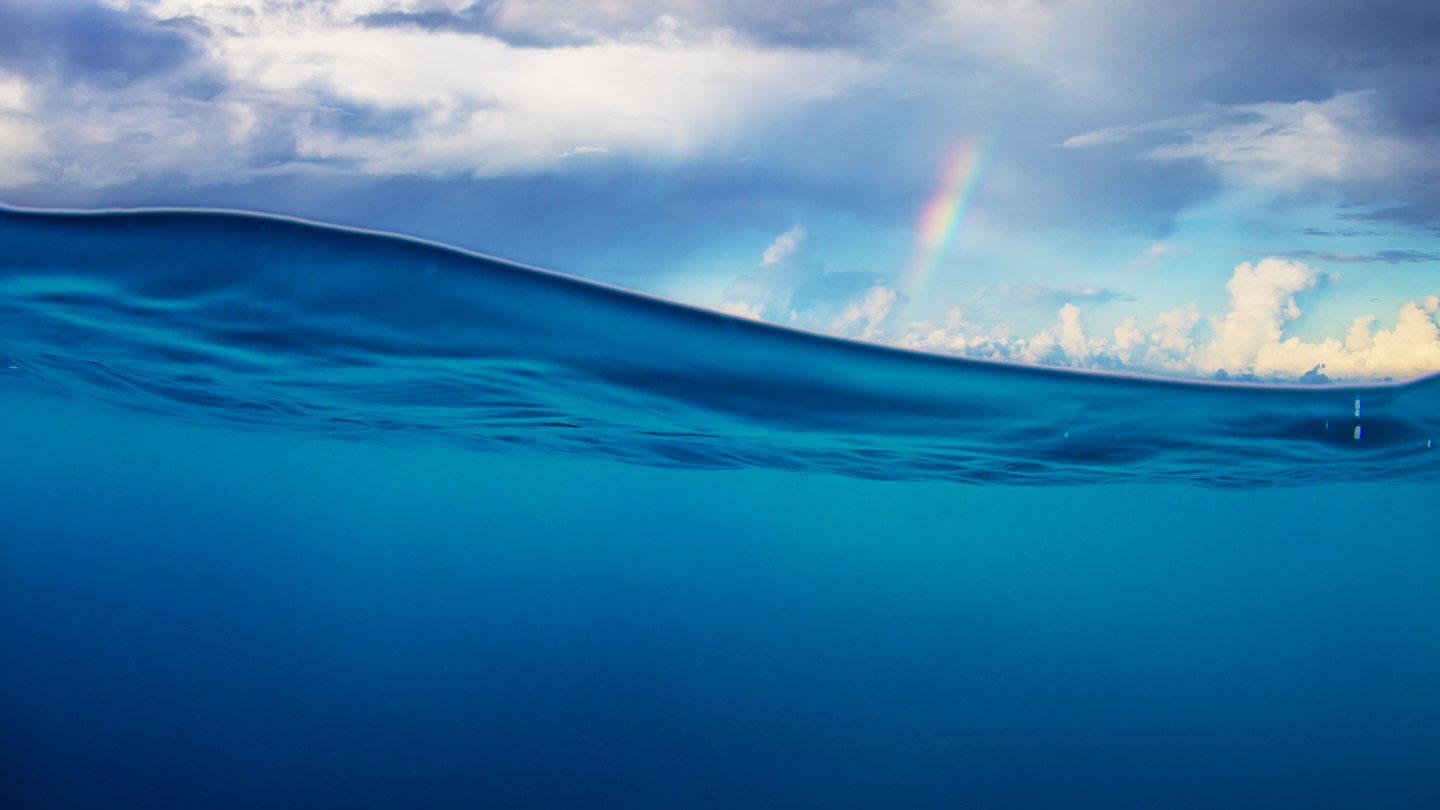 Ripple is making waves, but will it become a tsunami? Ripple is making waves, but will it become a tsunami?