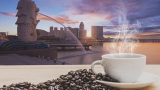 How a Singapore start-up tapped DBS to brew up payment strategy How a Singapore start-up tapped DBS to brew up payment strategy