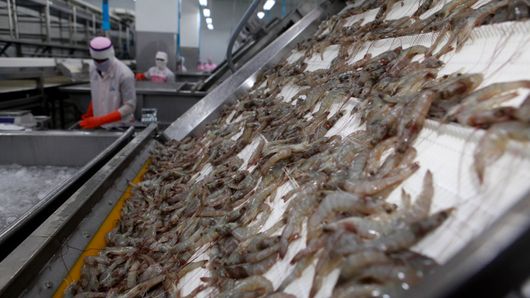 Thai Union eyes global payment factory for 2019 Thai Union eyes global payment factory for 2019