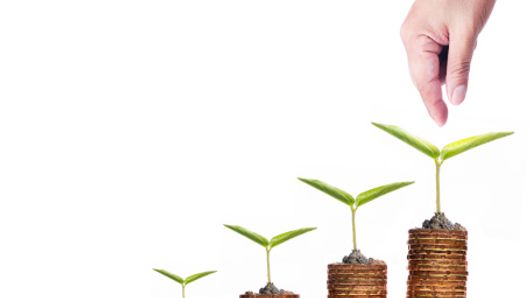 The BSP’s interest rate corridor; should treasurers secure loans now? The BSP’s interest rate corridor; should treasurers secure loans now?