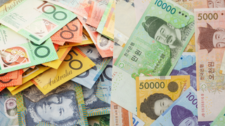 Currency risk: Aussie dollar and Korean won among most volatile G20 currencies Currency risk: Aussie dollar and Korean won among most volatile G20 currencies