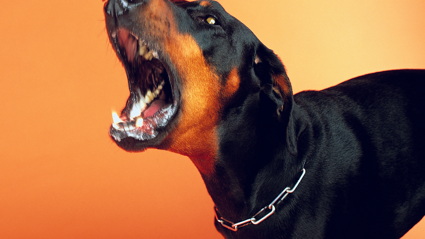 It’s not fair! Southeast Asia barks at IFRS rules It’s not fair! Southeast Asia barks at IFRS rules