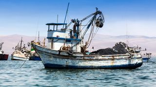 On the hook: HK fishing conglomerate in trade finance fraud claim On the hook: HK fishing conglomerate in trade finance fraud claim