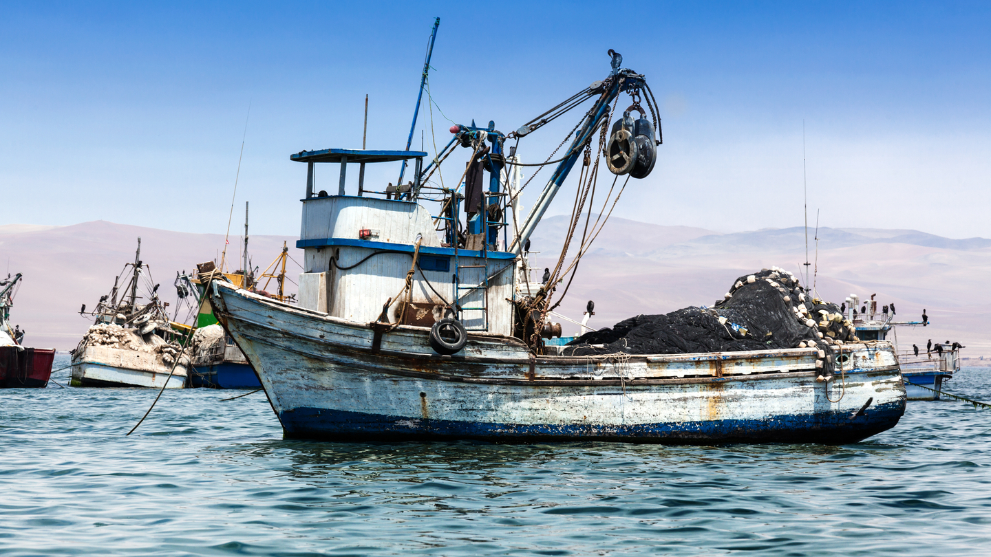 On the hook: HK fishing conglomerate in trade finance fraud claim On the hook: HK fishing conglomerate in trade finance fraud claim