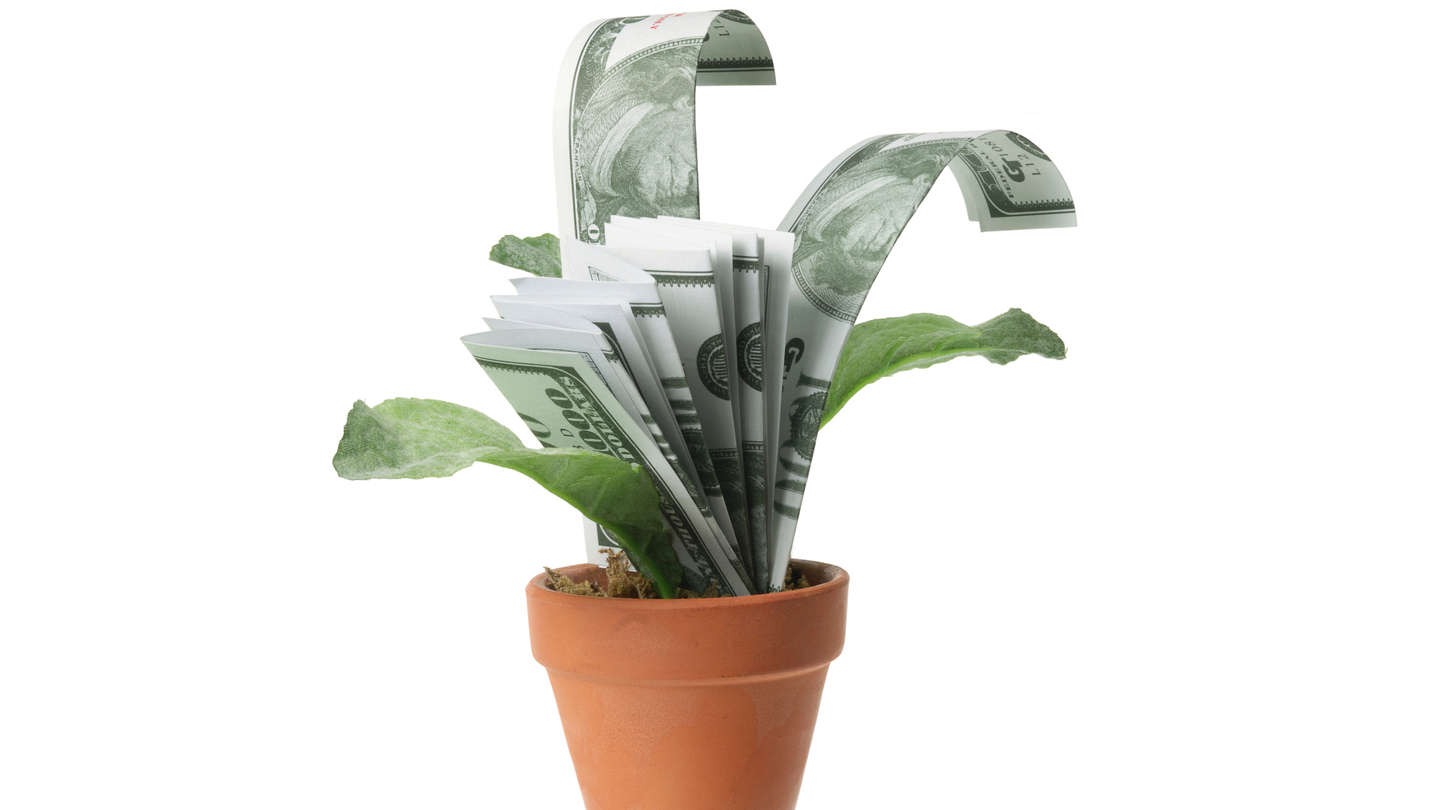 SEC takes pot shot at pot stocks SEC takes pot shot at pot stocks