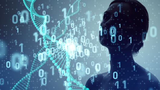 MAS and SGX Group launch ESG disclosure portal to elevate sustainability data MAS and SGX Group launch ESG disclosure portal to elevate sustainability data
