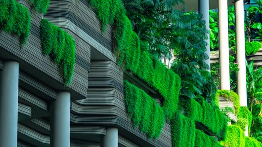 Green hotel building near Singapore's CBD Green hotel building near Singapore's CBD