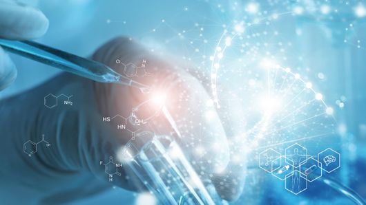 BiVictriX appoints new CFO BiVictriX appoints new CFO