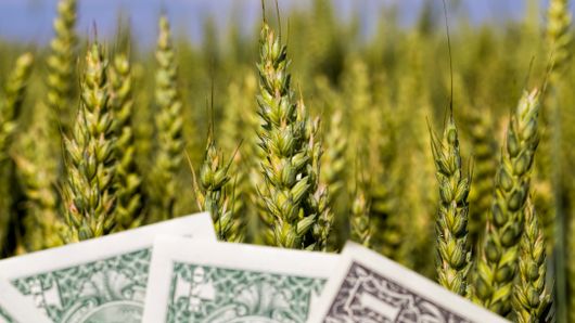 Commodities, treasury and digitisation: why the good old days were not so great Commodities, treasury and digitisation: why the good old days were not so great