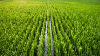 Temasek-backed ABC Impact teams up with DBS, UOB for SLL facility Temasek-backed ABC Impact teams up with DBS, UOB for SLL facility