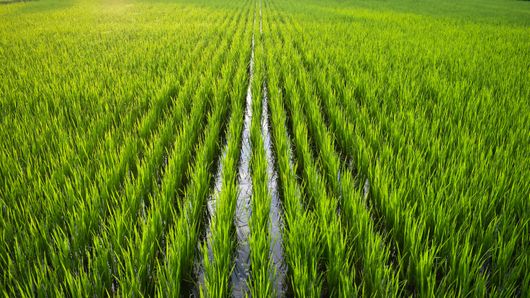 Temasek-backed ABC Impact teams up with DBS, UOB for SLL facility Temasek-backed ABC Impact teams up with DBS, UOB for SLL facility