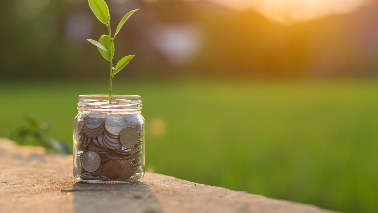 BNP Paribas rated top green finance bank: but are the others missing a trick? BNP Paribas rated top green finance bank: but are the others missing a trick?