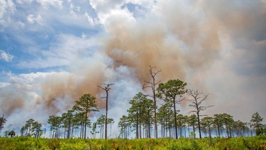 UOB launches transition finance scheme UOB launches transition finance scheme