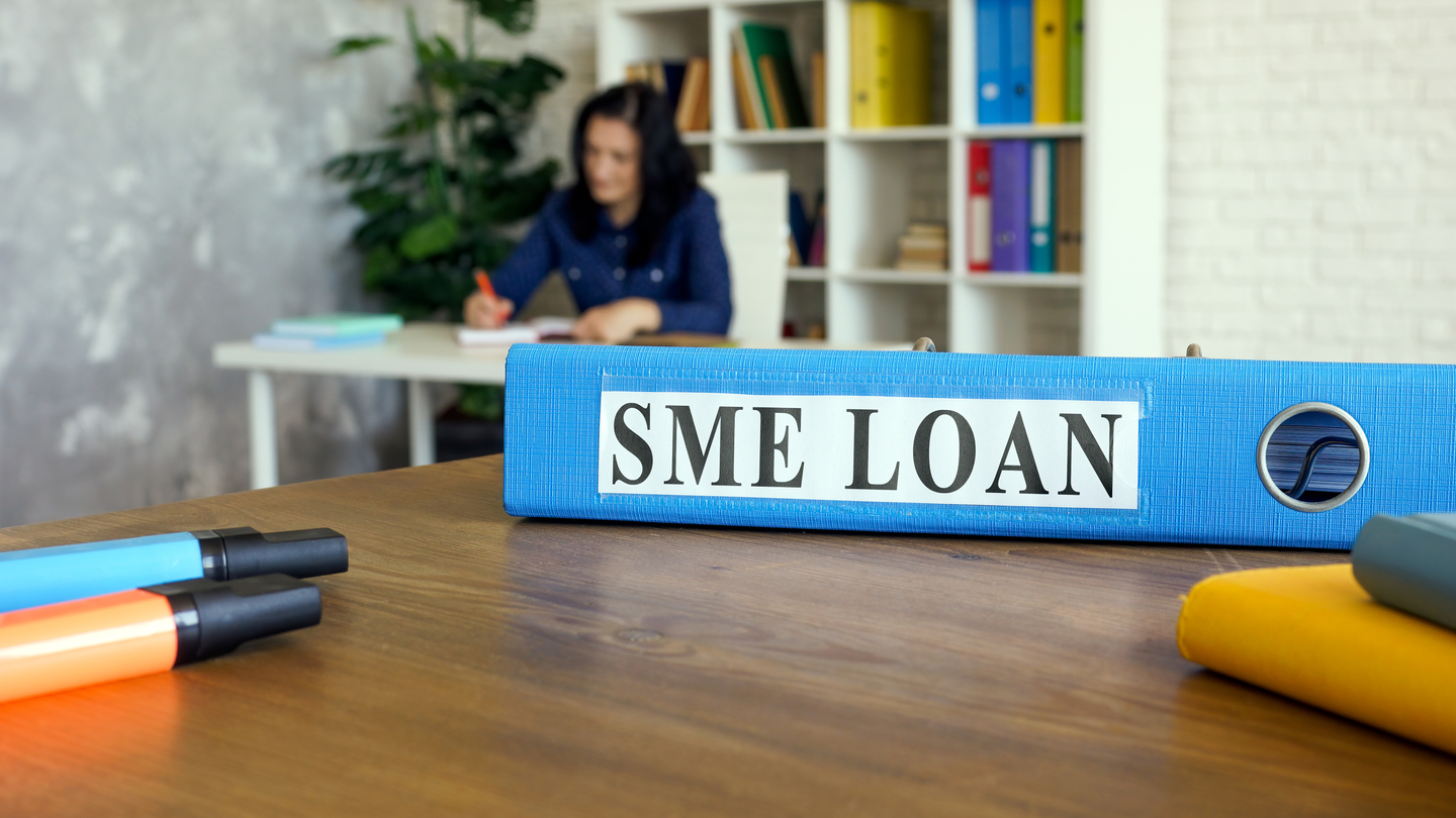 SME borrowers advised to keep loans steady as rates fall SME borrowers advised to keep loans steady as rates fall