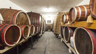 China Tontine Wines Group appoints CFO amid share suspension China Tontine Wines Group appoints CFO amid share suspension